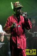 Lee Scratch Perry (Jam) with The Caroloregians 16. This Is Ska Festival - Wasserburg, Rosslau 23. Juni 2012 (38).JPG